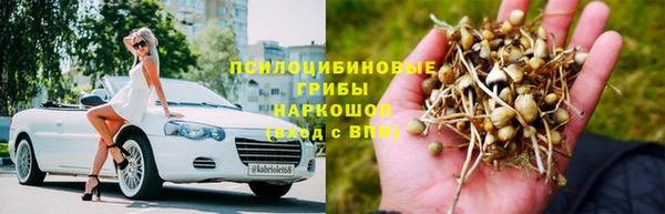 mdma Няндома