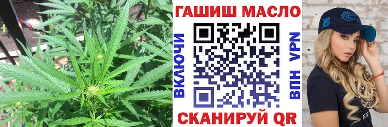 продажа наркотиков  Тихвин  Дистиллят ТГК концентрат 